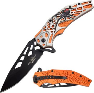 Dark Fantasy Blades Heavy Duty Spring Assist Knife DF-8018OR