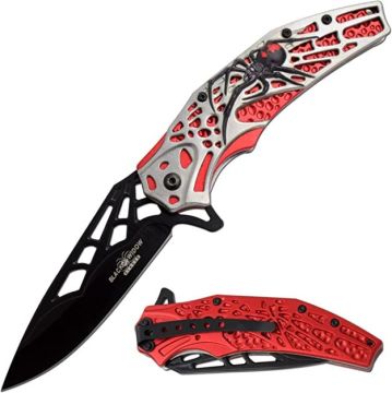 Dark Fantasy Blades Heavy Duty Spring Assist Knife DF-8018RD