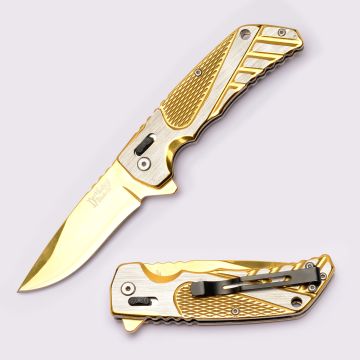 Dark Fantasy Blades Spring Assist Knife With Axis Lock DF-1372GD