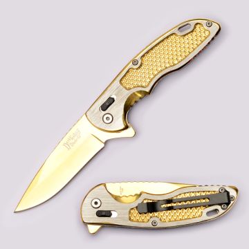 Dark Fantasy Blades Spring Assist Knife With Axis Lock DF-1373GD