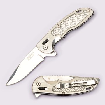 Dark Fantasy Blades Spring Assist Knife With Axis Lock DF-1373S