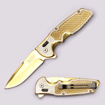 Dark Fantasy Blades Spring Assist Knife With Axis Lock DF-1375GD