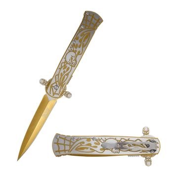 Dark Fantasy Blades Heavy Duty Spring Assist Knife DF-9028-2