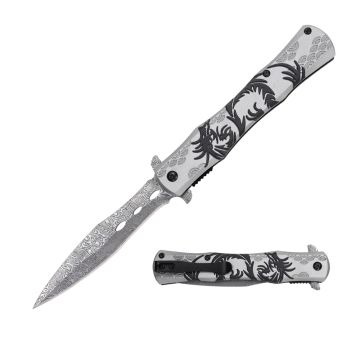 Dark Side Blades Spring Assist Folding Knife DS-A2001BK