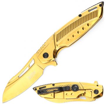 Dark Fantasy Blades Spring Assist Knife With Frame Lock DF-5374GD