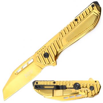 Dark Fantasy Blades Spring Assist Knife With Frame Lock DF-5375GD