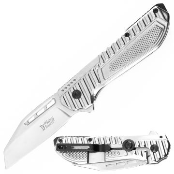 Dark Fantasy Blades Spring Assist Knife With Frame Lock DF-5375SL